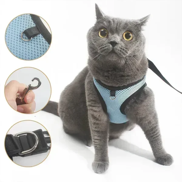 Pet Dog Cat Chest And Back Leash