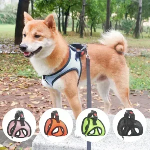 Pet Dog Chest And Back Leash