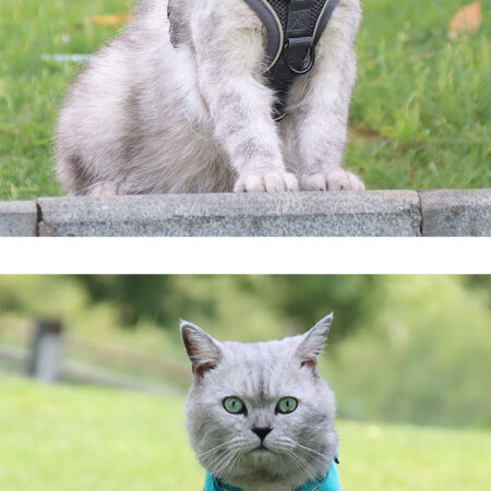 Cat Dog Chest And Back Leash Gray
