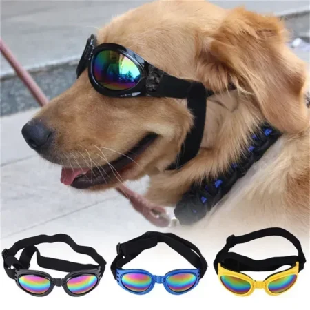 Kule solbriller for hunder