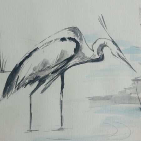 Akvarell Fugl i vannkanten