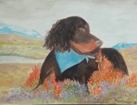 Akvarell Hund på fjelltur