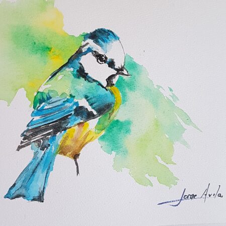 Home Decoration Watercolor Painting Cute Little Bird