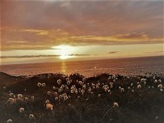 Kunstfotografi Solnedgang ved havet