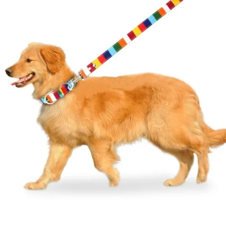 Multicolor pet accessory color block leash