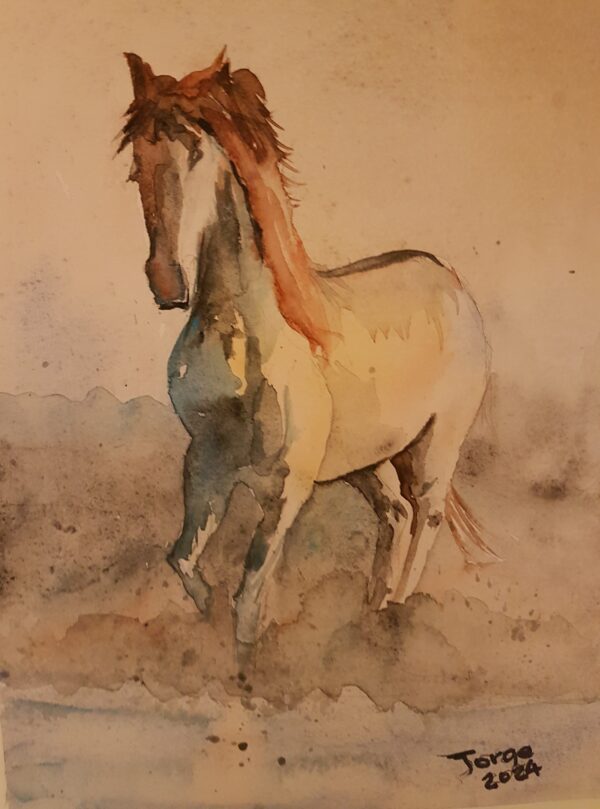 Akvarell maleri Vakker hest