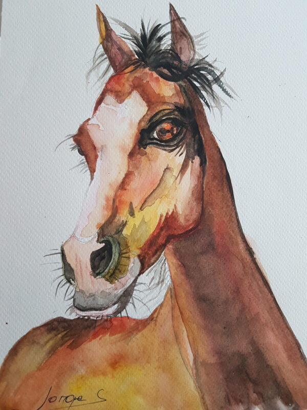 Maleri akvarell bilde av brun hest