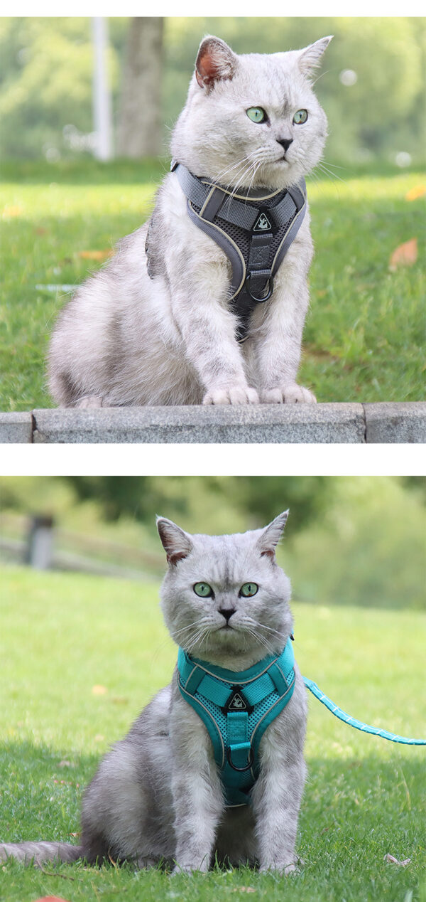 Cat Dog Hand Holding Rope Vest-style Chest Strap