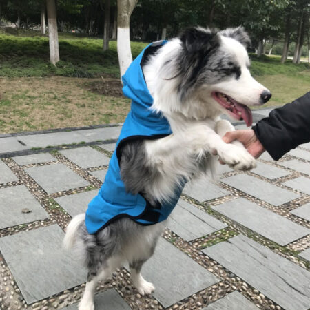 Regntøy for hunder blå