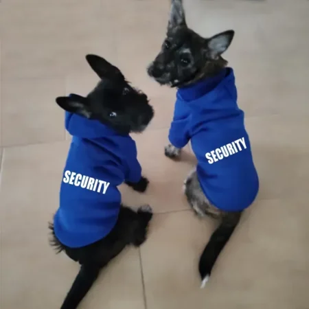 Hoodie for hunder Security tekst blå farge