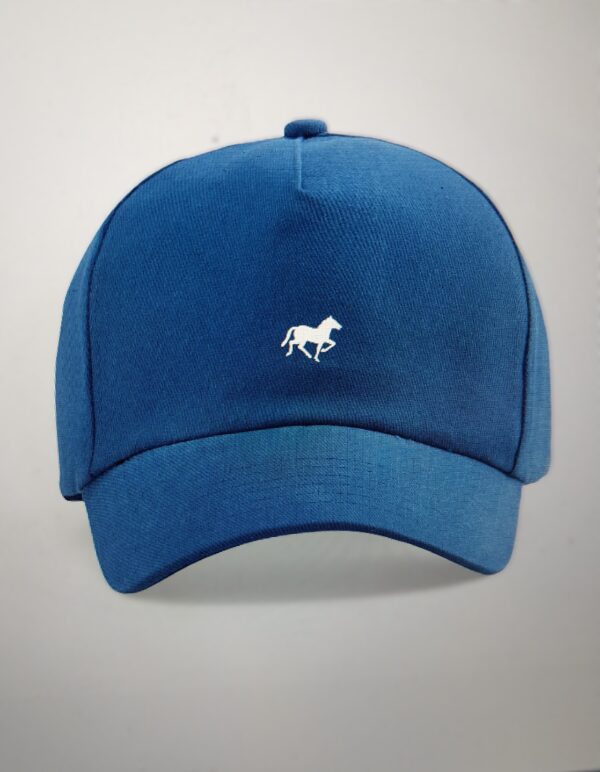 Caps unisex blue