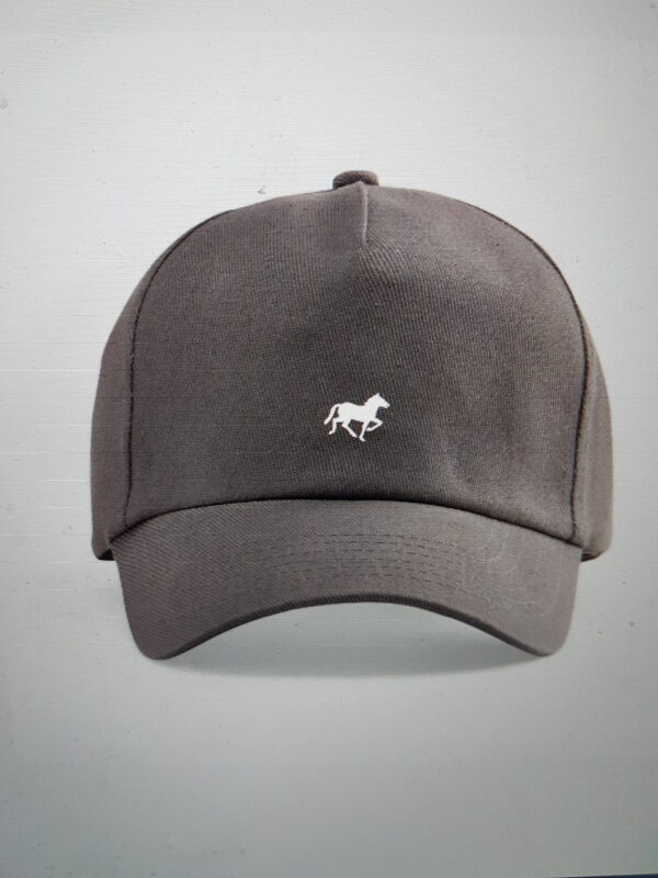 Caps unisex dark gray