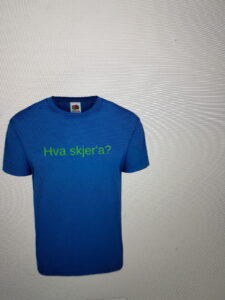 Kortermet T-skjorte blå short sleeve T-shirt blue 