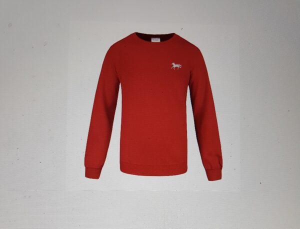 Sweatshirt for barn rød 3