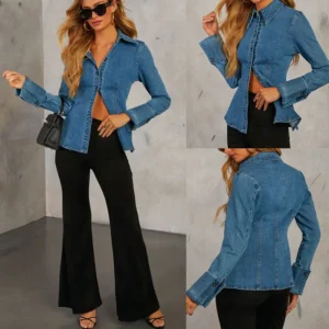 Blouse long sleeve blue denim blouse for women