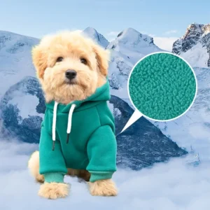 Hooded dog's clothes green